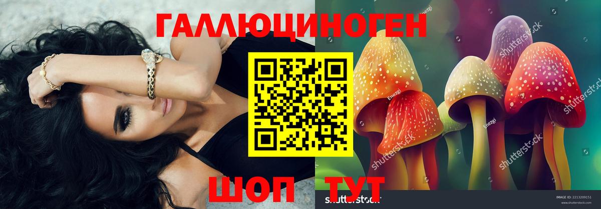 Галлюциногенные грибы мухоморы Дубна